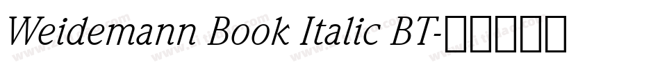 Weidemann Book Italic BT字体转换